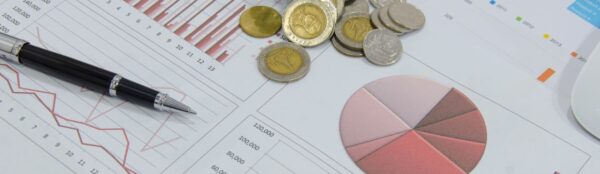 analyste data marketing
